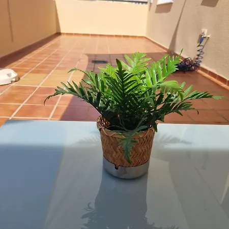Torete Roquetas de Mar